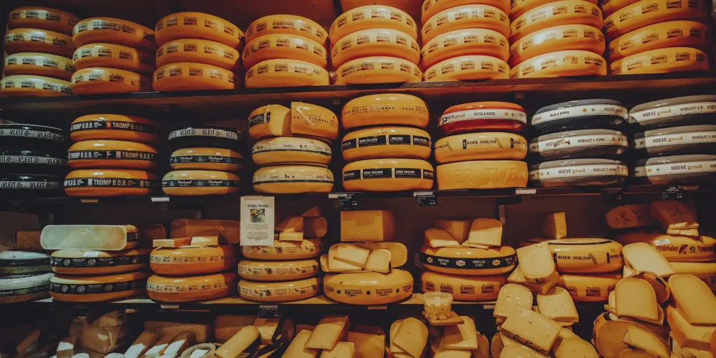 Cheese