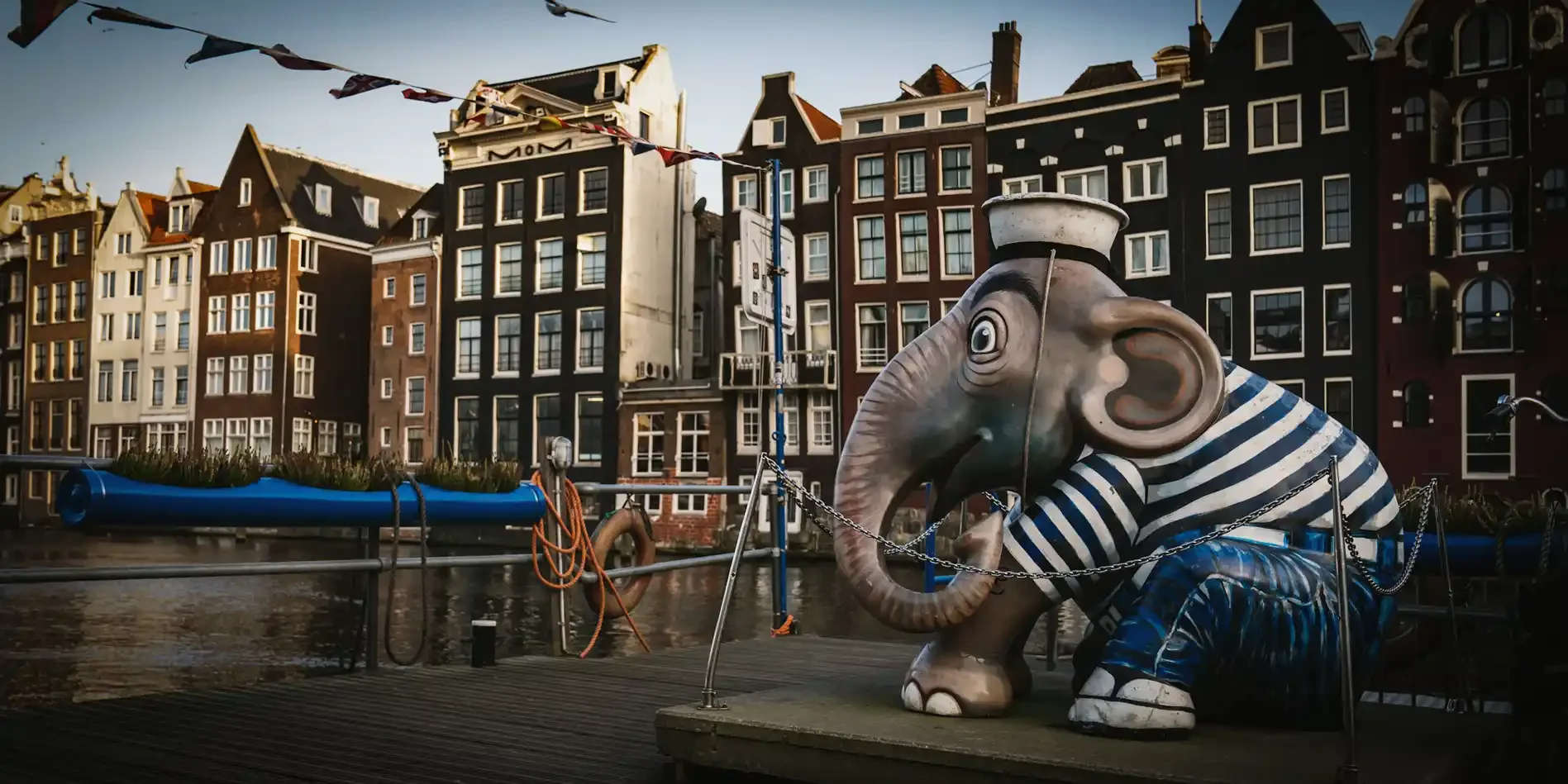 Elephants